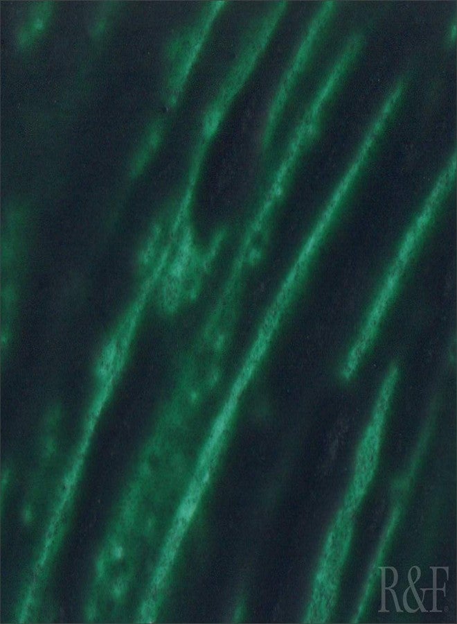 R&F Artist Encaustic Paint, Phthalo Green, 104 ml - Image 2