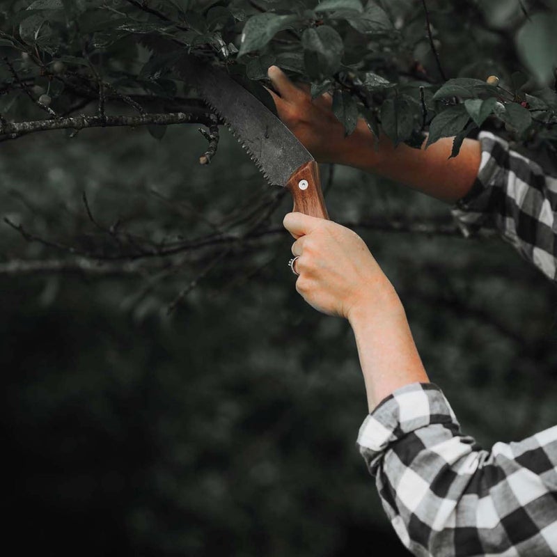 Barebones Timber Saw - Hand Saw with Ergonomic Walnut Handle for Camping, Pruning, and Wood Cutting - Curved Blade and Root Cutter with Sheath - Image 4