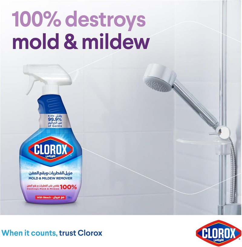 Mildew & Mold Stain Remover Spray with Bleach, 750 ml, Kills 99.9% of Germs, 100% of Fungus & Mold Stains (Pack of 2) - Image 4