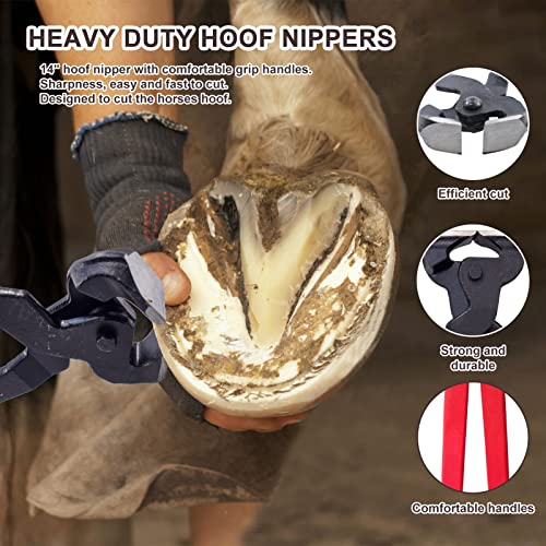 HNONPW 14 inch Horse Farrier Tool Kits - 6Pcs Professional Hoof Trimming Farrier Tools, Can Easily Trim the Hooves of Horses, Cows, Sheep, Donkeys and Other Medium-Sized Animals - Image 4
