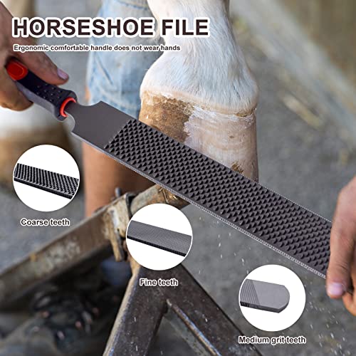 HNONPW 14 inch Horse Farrier Tool Kits - 6Pcs Professional Hoof Trimming Farrier Tools, Can Easily Trim the Hooves of Horses, Cows, Sheep, Donkeys and Other Medium-Sized Animals - Image 5