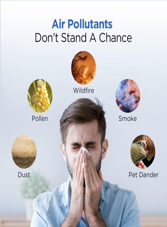 موكا فلاتر هواء H13 True HEPA أصلية معتمدة من MOOKA، بديلة ومتوافقة مع جهاز تنقية الهواء M02، ترشيح ثلاثي المراحل، تلتقط الغبار وحبوب اللقاح والدخان والروائح ووبر الحيوانات الأليفة، عبوة واحدة - Image 5