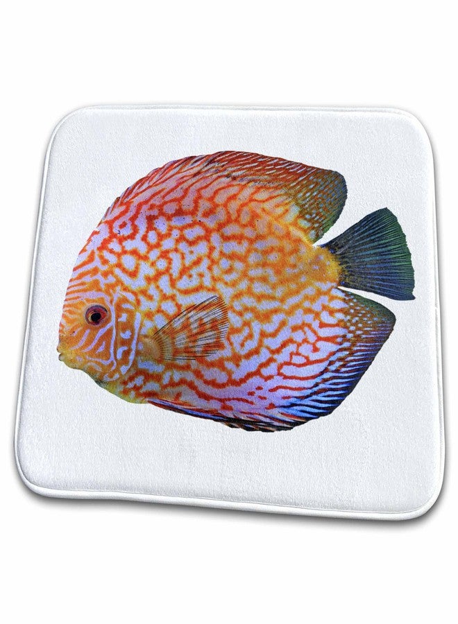 3dRose King Of The Aquarium Discus Fish Image Wildlife - Dish Drying Mats (ddm-262415-1) - Image 1