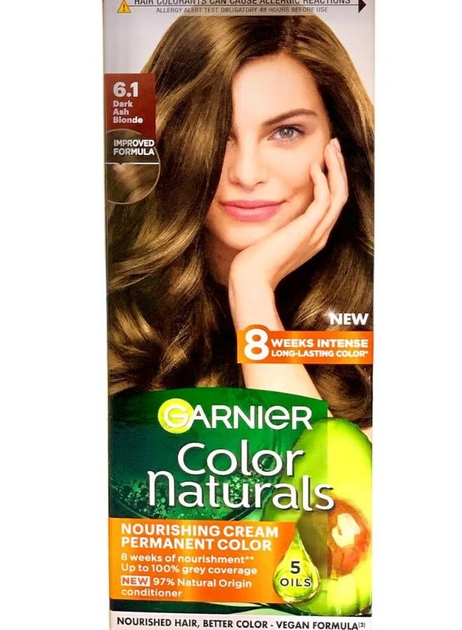 GARNIER COLOR NATURALS CREAM 6.1