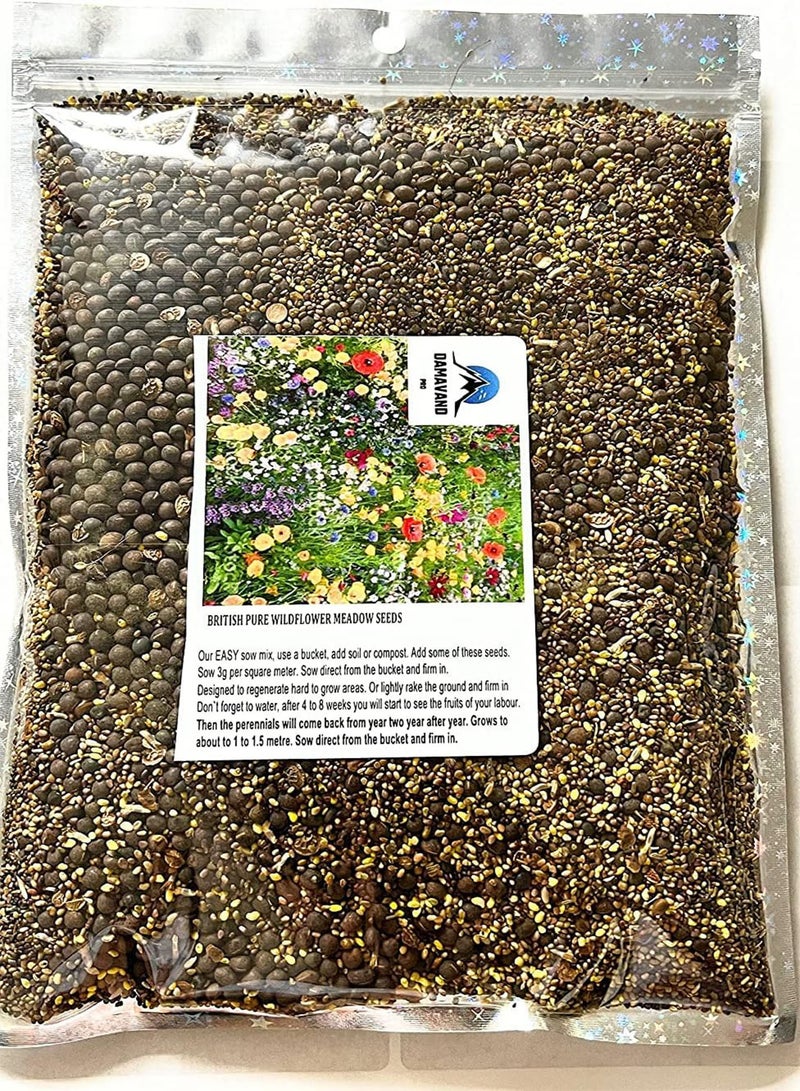 GGOOT 10 g Bulk Value Mix Wildflower Seeds Butterfly Bee Attracting Naturalising Wild Flower Seed Giant Wildflower Seeds for Bees and Butterflies UK Seeds  - Image 2