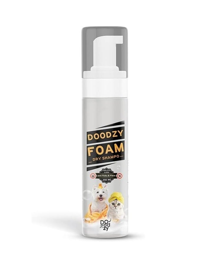 Doodzy Doodzy Dry Foam Shampoo Foam, 250 ml 