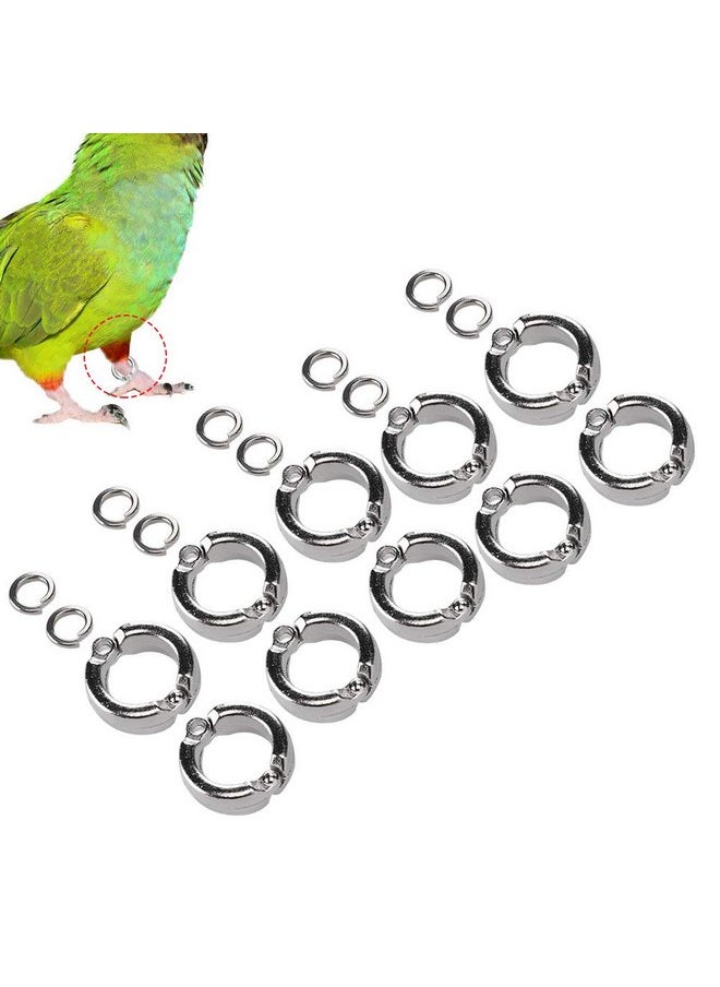 Zerodis Zerodis Parrots Foot Buckle, 10PCS Stainless Steel Parrots Standing Frame Foot Ring for Outdoor Flying Training(#7)  - Image 1