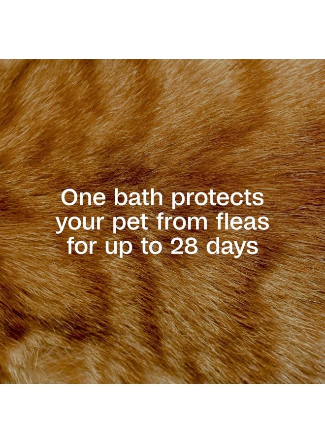 ADAMS Plus Flea & Tick Foaming Shampoo & Wash for Cats & Kittens Over 12 Weeks, Sensitive Skin Flea Treatment for Cats & Kittens, Kills Adult Fleas, Ticks and Lice On Contact, 10 Ounces - Image 3
