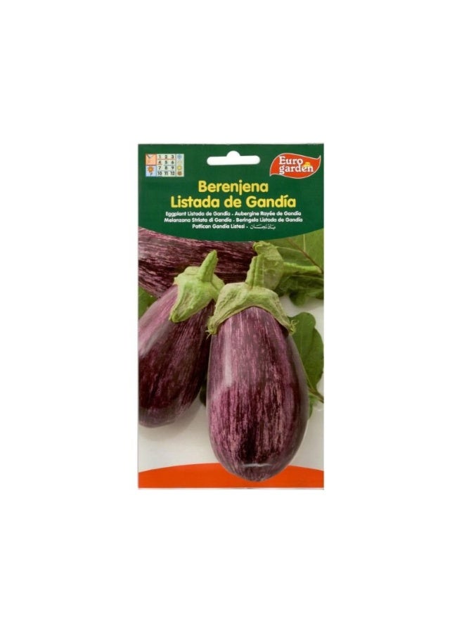 Euro Garden EG Eggplant Seeds