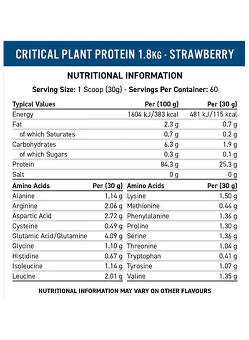 Applied Nutrition Critical Plant Protein Powder Vegan Protein - Vanilla - (1.8Kg) - Image 2