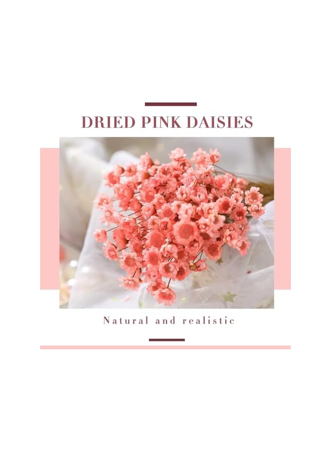 The Bros Natural Dry Flowers Brazilian Small Star Daisy Dried Flowers Dried Daisy Flowers Decorative Dried Flowers Mini Daisy Chamomile Bouquet for Wedding Floral Arrangements Decorations (Pink, 200 Pcs) - Image 2