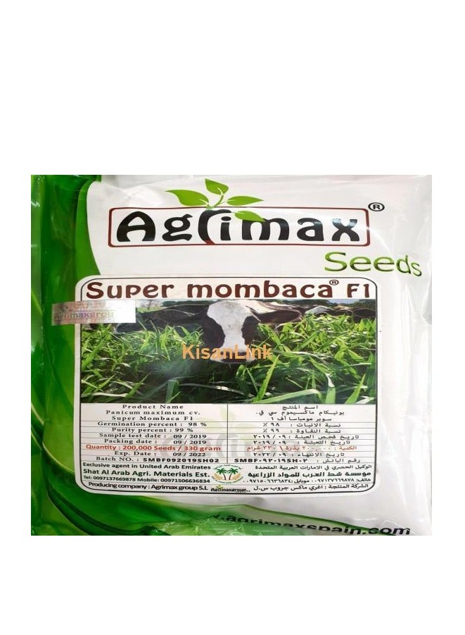 أجريماكس سوبر مومباكا 200 كيلو F1 هجين عالي الجودة 300 جرام مناسب لمناخ الإمارات العربية المتحدة من Agrimaxgroup® - Image 3