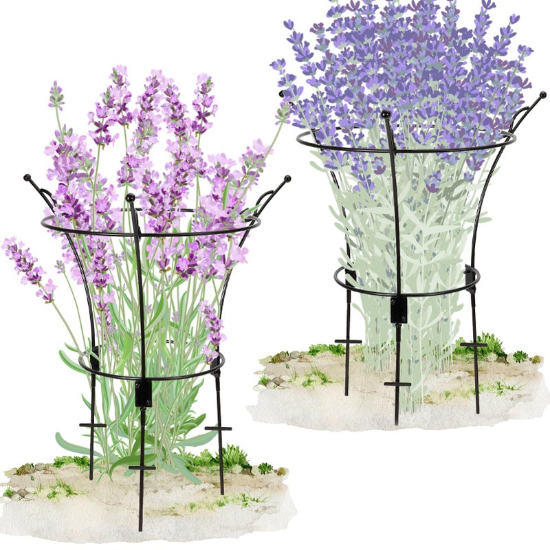 VICAMB 2 Pack Large Peony Cages and Supports,23.2" H X 13.4" D Metal Peony Support Rings,Tall Plant Support Garden Stakes for Outdoor Plants and Other Flopping Flowers - Image 1