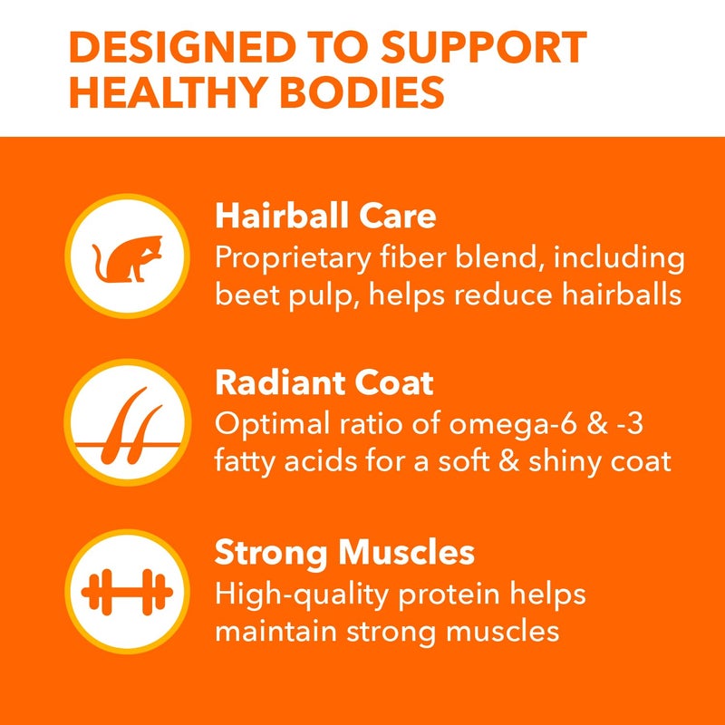 IAMS Proactive Health Long Hair Care Adult Dry Cat Food with Real Chicken & Salmon, 6 lb. Bag - Image 3