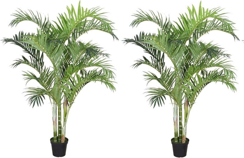 Pack of Two2 AMERIQUE Gorgeous 6 Feet Tropical Palm Trees Artificial Silk Plant with UV Protection with Nursery Plastic Pots Feel Real Technology Super Quality
