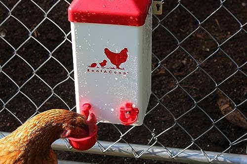 RentACoop 1 Gallon PVC Chicken Waterer with 2 Auto-Fill Cups, Horizontal Nipples and Anti-Roost Cone - Suitable for Chicks, Chickens, Quails, Pigeons and Gamebirds - Image 5