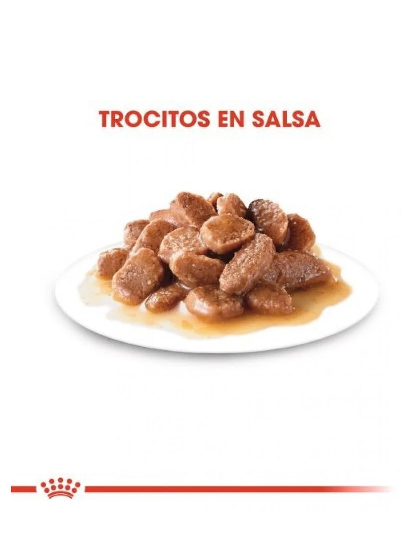 رويال كانين طعام رطب للعناية بالجهاز البولي والجهاز الهضمي للقطط  85 جرام - Image 2