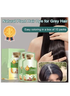 Generic 10 PACKS Natural Plant Hair Dye, Plant Fruit Hair Dye Cream, Plant Bubble Hair Dye Shampoo,instant Natural Hair Dye Shampoo, Plant Extract for Grey Hair Color Bubble Dye (Chestnut Brown)  - Image 1