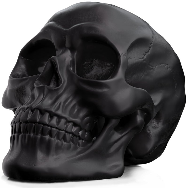 READAEER Resin Skull Human Head Model for Home Decoration Halloween Statue Skull Model for Bookshelf and Desktop Black