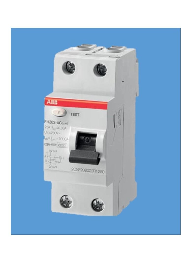 ABB Abb 100A 2 Pole 100MA Earth Leakage Circuit Breaker F202 2CSF202005R2900 