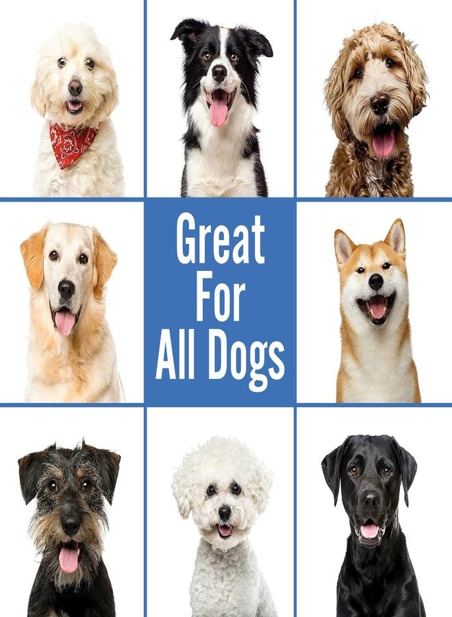 Smiling Paws Pets شامبو سمايلينج باوز للحيوانات الأليفة المعالج بدون ماء - Image 5