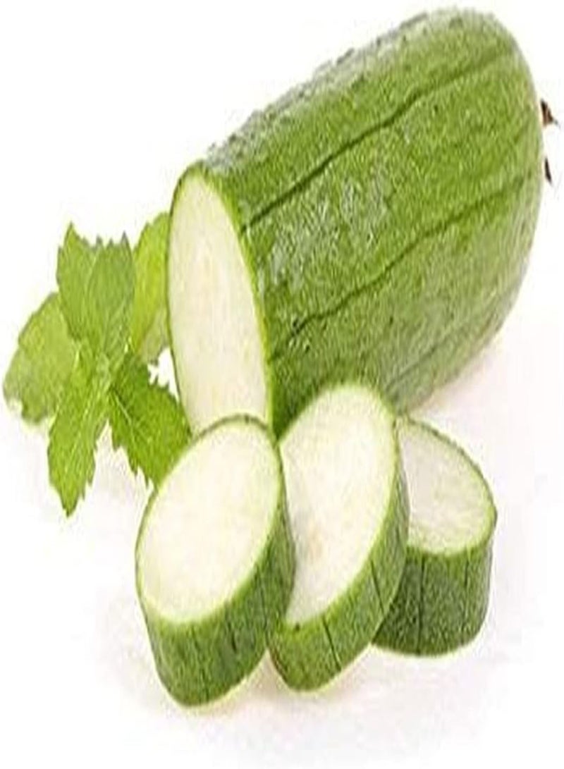 جي جوت 40 قطعة من بذور اللوف، نبات متسلق سنوي، غير معدل وراثيًا، خضراوات خضراء موروثة، سهلة الزراعة، مناسبة للمبتدئين، مزروعة ومنتجة - Image 1