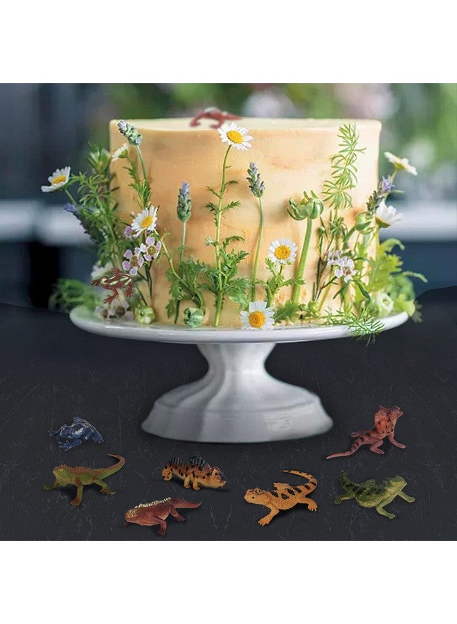 Sienon 12Pcs Reptile Lizard Animals Figures Mini Plastic Cold Blooded Amphibian Frog Toys Figurines Realistic Jungle Animals Chameleon Rainforest Character Toys For Prank Props School Project Easter Eggs - Image 5