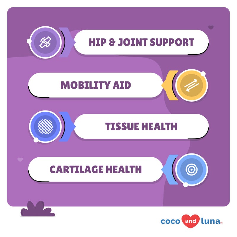 Coco and Luna Joint Supplement for Dogs - 120 Chewable Tablets - with Glucosamine, Chondroitin, MSM and Manganese for Hip, Tissue, and Mobility Support, Dog Joint Pain Relief - Image 2