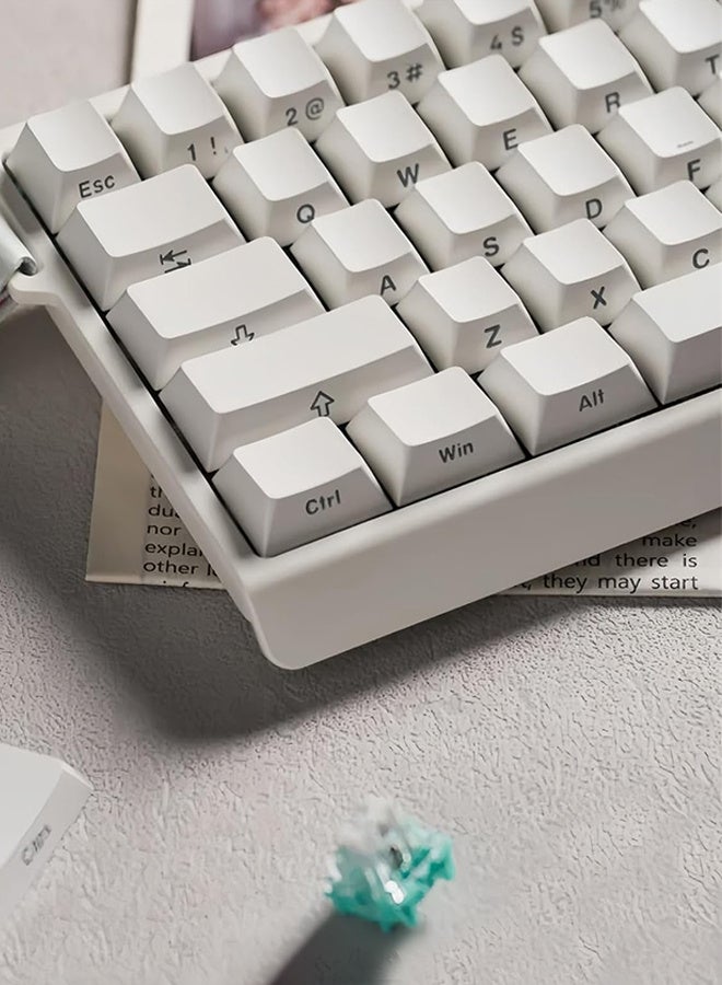 MADLIONS MAD60 HE RGB Magnetic Switch Keyboard, Wireless/Bluetooth/USB RGB Backlit Soundproofing Foam,60% Magnetic Switch Hall Effect Adjustable, for PC Mac Win - Image 4