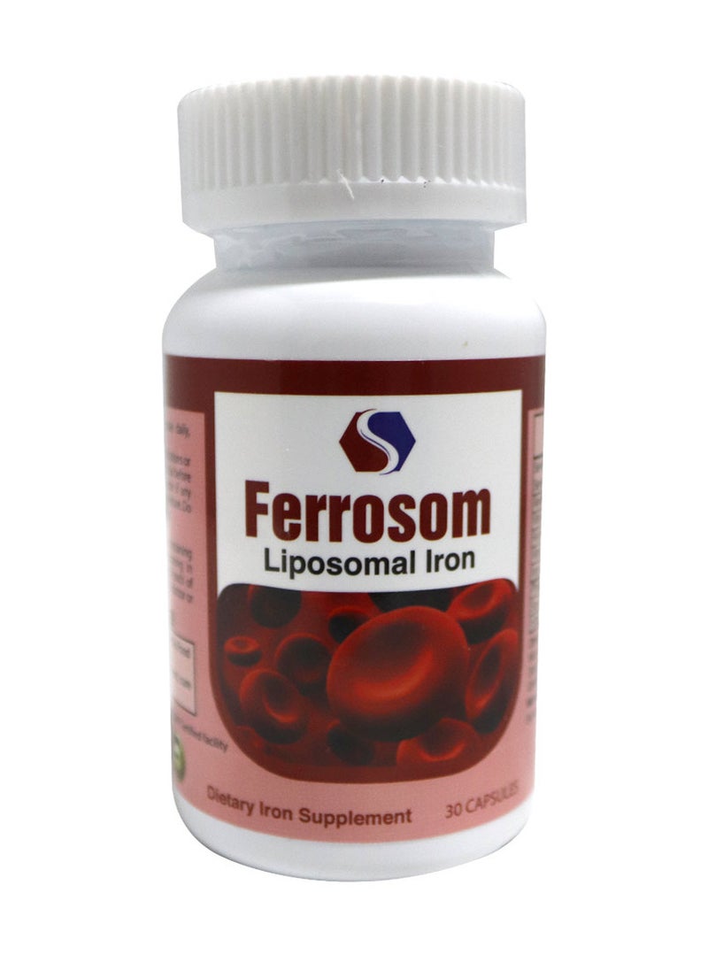 Ferrosom - Iron Capsule 30s - Image 1