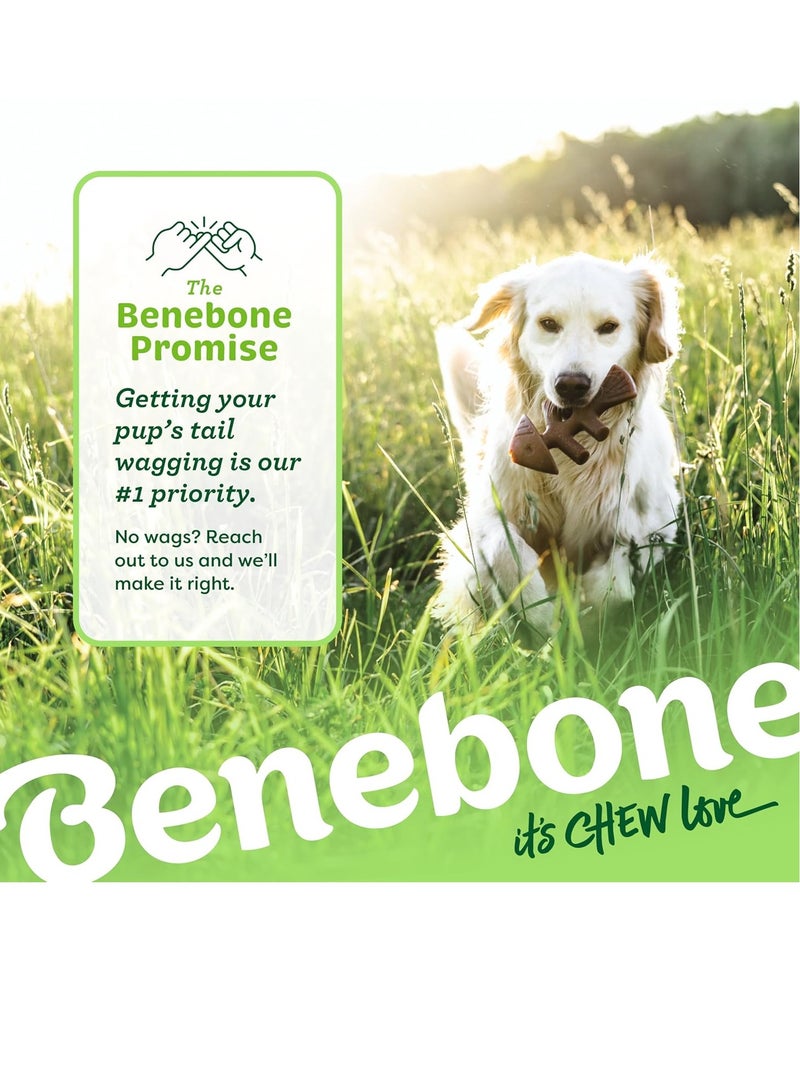 Benebone Indestructible Fishbone Dog Chew Toy for Aggressive Chewers Long Lasting Tough Boredom Breaker for Dogs Real Jack Salmon Flavour For Medium Dogs Made in the USA - Image 5