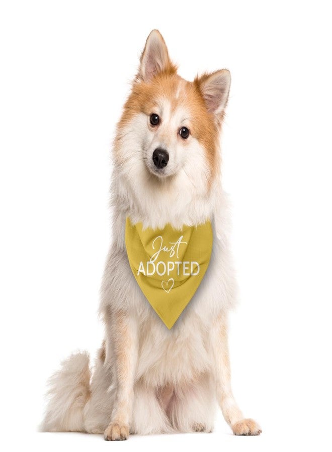 ZPPRJF Just Adopted Dog Bandana, Yellow Dog Bandana, Funny Cute Pet Bandanas, Pet Triangle Scarf, Gift for Dogs Lover, Pets Bandana for Small Medium Large Dogs - Image 2