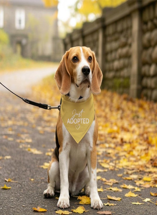 ZPPRJF Just Adopted Dog Bandana, Yellow Dog Bandana, Funny Cute Pet Bandanas, Pet Triangle Scarf, Gift for Dogs Lover, Pets Bandana for Small Medium Large Dogs - Image 5