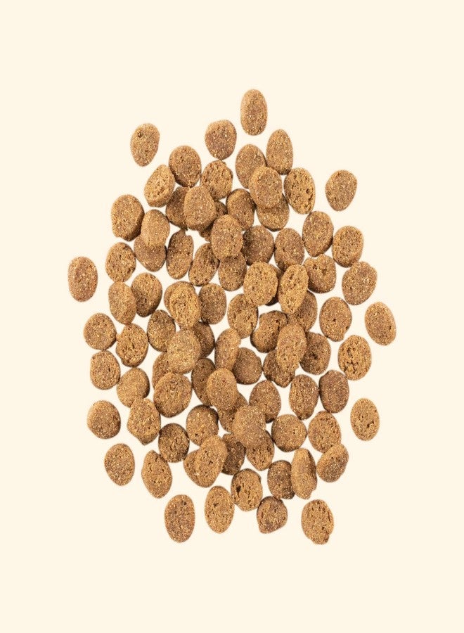 GATHER Free Acres Free-Run Chicken Grain-Free & Gluten-Free Dry Dog Food, Healthy Kibble Made with USDA Certified Organic & Non-GMO Ingredients, for Adults & Seniors, 6 lb Bag - Image 2