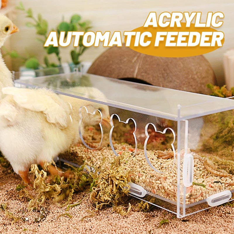 Rutin Chicken Automatic Feeder 5-Hole Double-Layer Acrylic Poultry Feeding Box Farmhouse Feeder for Chickens and Quails - Image 5