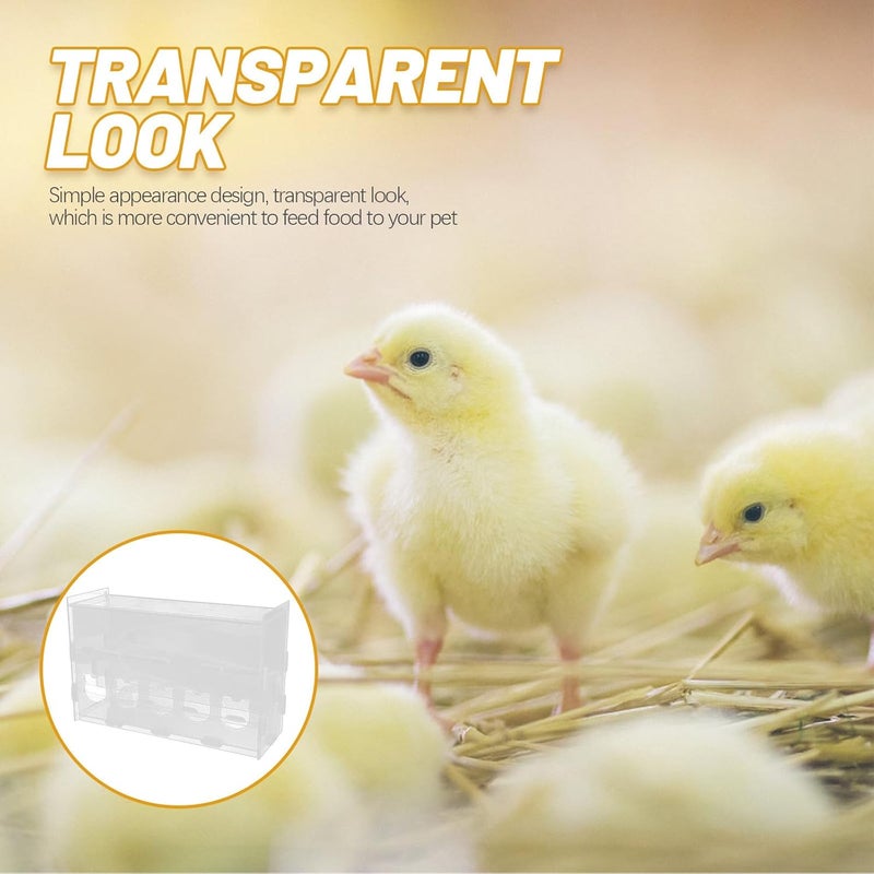 Rutin Chicken Automatic Feeder 5-Hole Double-Layer Acrylic Poultry Feeding Box Farmhouse Feeder for Chickens and Quails - Image 4