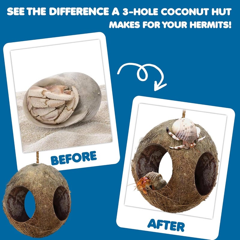 SunGrow Parakeet and Bird Toy Hut, 2.4” Hole Opening, 3-Hole Coco House, Millet Dispenser, Nesting House, 1 Piece per Pack - Image 4
