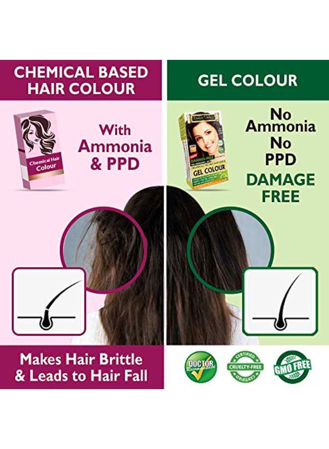 Indus Valley No Ppd, No Ammonia Damage Free Gel Colour Dark Brown 3.0 For Hair Color, 20G*3=60G, 200Ml*3=600Ml - Image 4
