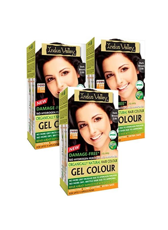 Indus Valley No Ppd, No Ammonia Damage Free Gel Colour Dark Brown 3.0 For Hair Color, 20G*3=60G, 200Ml*3=600Ml - Image 1