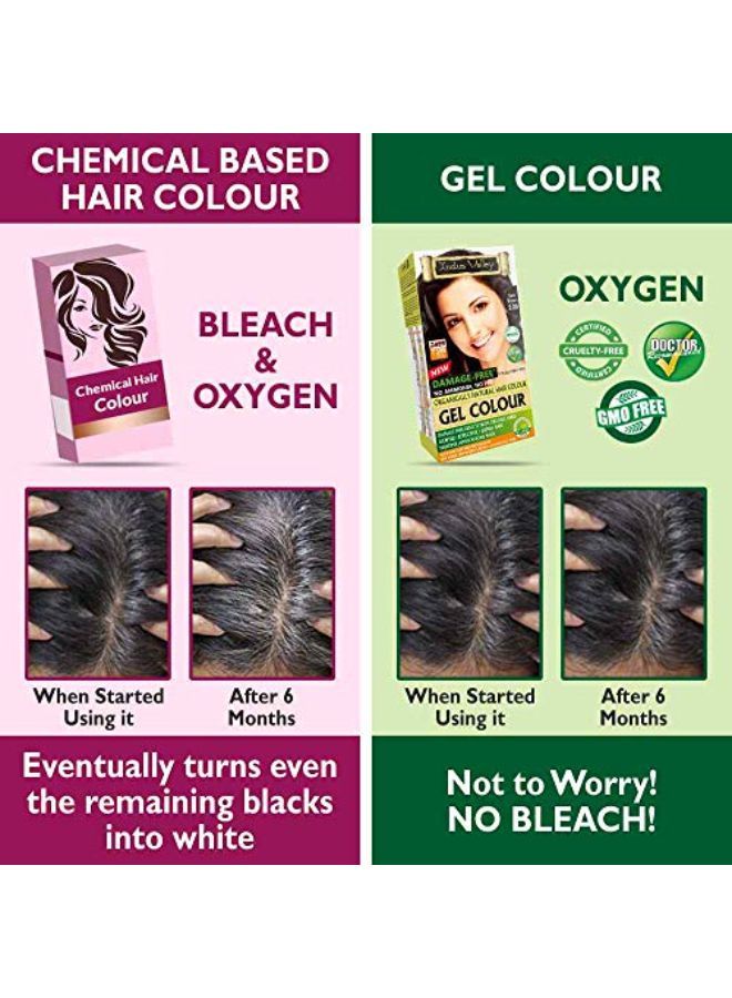 Indus Valley No Ppd, No Ammonia Damage Free Gel Colour Dark Brown 3.0 For Hair Color, 20G*3=60G, 200Ml*3=600Ml - Image 3