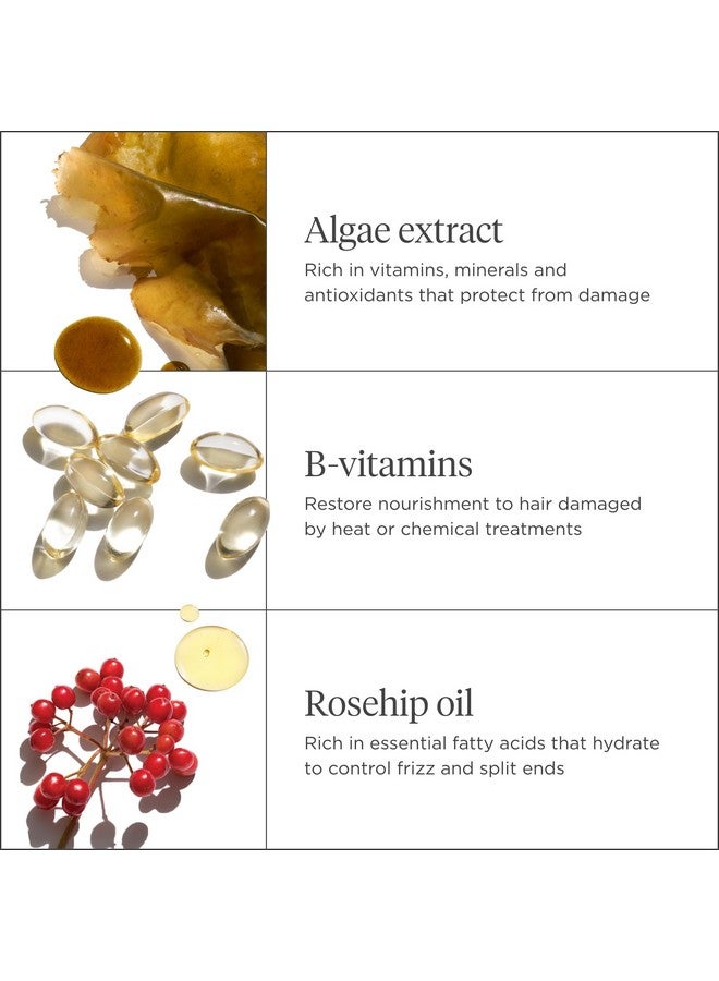 بريوجيو لا تيأس، إصلاح وتقوية + إصلاح مجموعة العناية بالشعر الصغيرة، إصلاح الشعر الجاف التالف أو المعالج بالألوان، مجموعة سفر نباتية خالية من الفالات والبارابين - Image 4