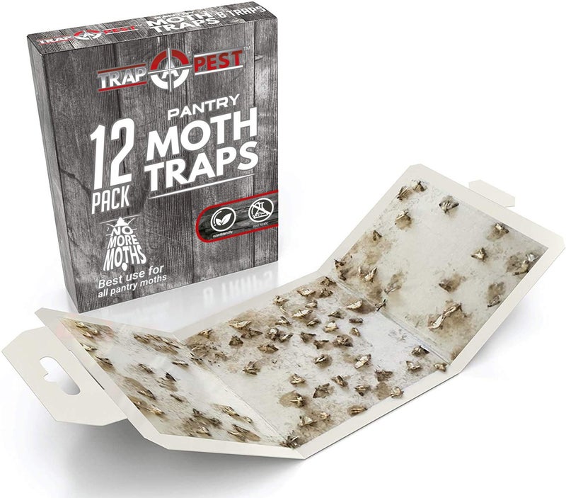 TRAP A PEST 12 عبوة مصائد عثة المخزن - آمنة وفعالة للطعام والخزائن - مصائد لاصقة مع الفيرومونات لعثة المخزن - Image 2