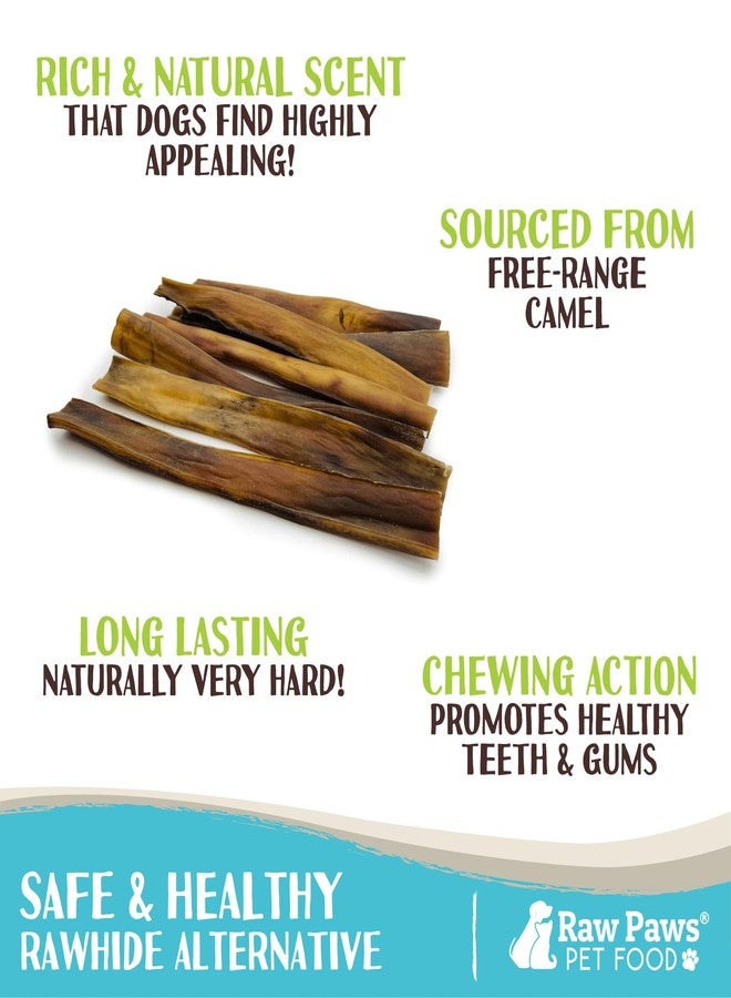 Raw Paws Camel Skin Chews for Dogs, 10-inch (10-Count) - Rawhide Free Dog Chew Long Lasting - Support Dog Anxiety Relief - Bully Stick Alternative - Image 2