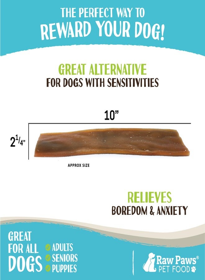 Raw Paws Camel Skin Chews for Dogs, 10-inch (10-Count) - Rawhide Free Dog Chew Long Lasting - Support Dog Anxiety Relief - Bully Stick Alternative - Image 3