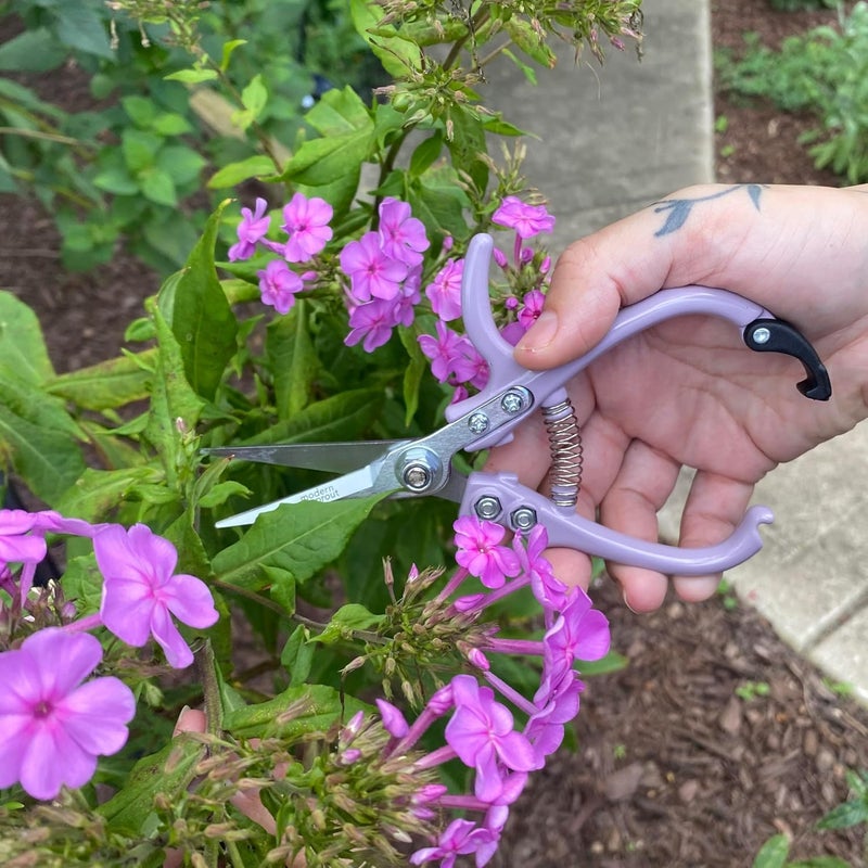 Modern Sprout Pruning Shears - Herb Snipping Scissors- Lightweight Gardening Tools W/Easy Lock - Flower Cutter Garden Shears - Carbon Steel Blade + Plastic-Free Reusable Holster (Multicolor, 4 Pcs) - Image 2