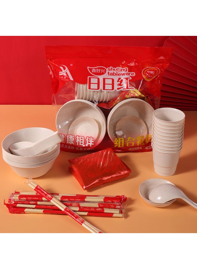 Mr. Min Disposable Bowl Chopsticks Cup Tableware Banquet Plastic Suit Barbecue Combination 10 People Tableware Suit Wholesale-Color:Big Mac 500 Bowl-Specifications:10 Persons - Image 5