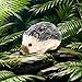 VOLOBE 5 Inches Silicone Hedgehog Realistic Silicone Animal as Silicone Piglet Companion with Sleeping Pad Accessories for Kids Boy Girl Birthday Handmade Gift Black Hedgehog - Image 4