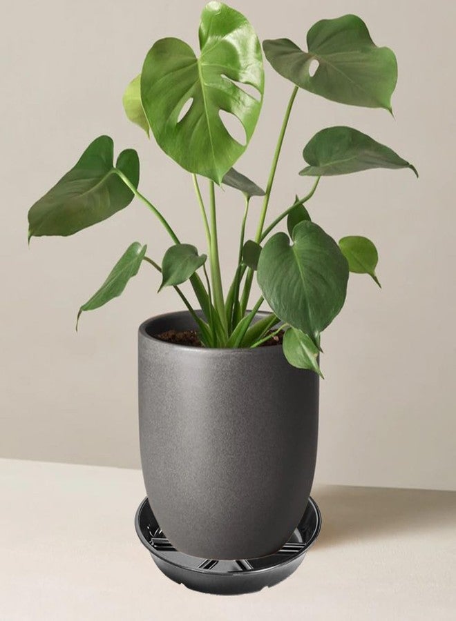 MSKIAUO Plant Saucer Pot Tray 6 inch, 6 Packs Flower Planter Saucers and Drip Trays, Black - Image 5