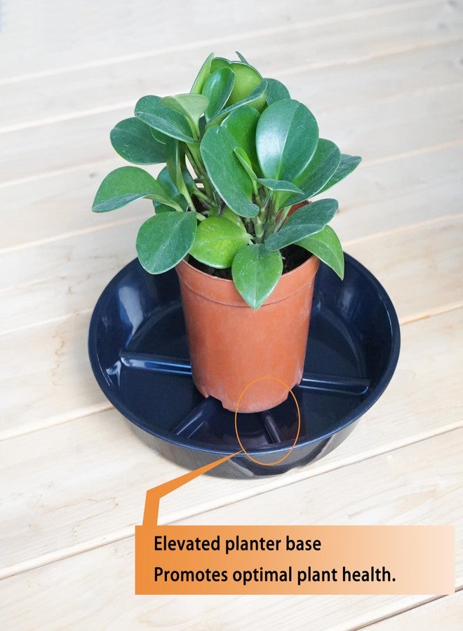 MSKIAUO Plant Saucer Pot Tray 6 inch, 6 Packs Flower Planter Saucers and Drip Trays, Black - Image 3