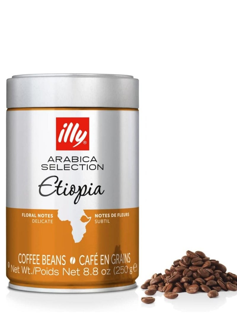 Illy Coffee Beans Etiopia 250gm - Image 1
